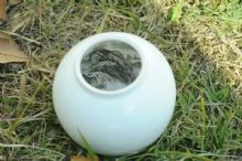 ������մ��ڻ���Ʒ